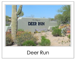 Deer Run Homes For Sale in Desert Mountain Scottsdale AZ